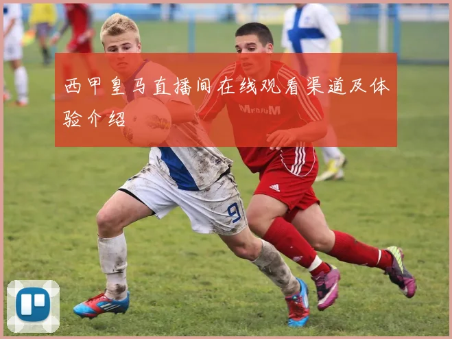 西甲皇马直播间在线观看渠道及体验介绍